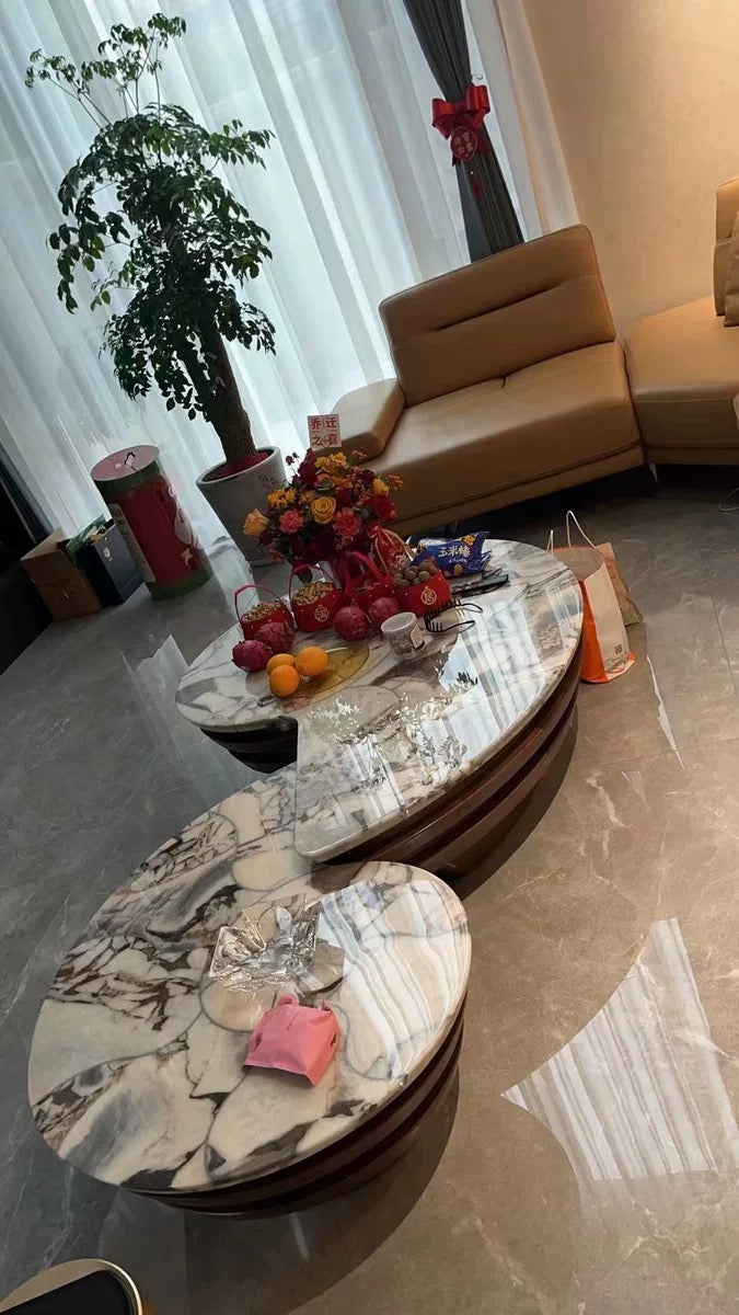 Distinctive conch shape coffee table vogue furniture luxury natural marble table
